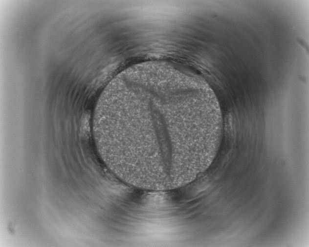 X0000100210127200806271712