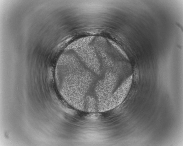 X0000100210128200806271712