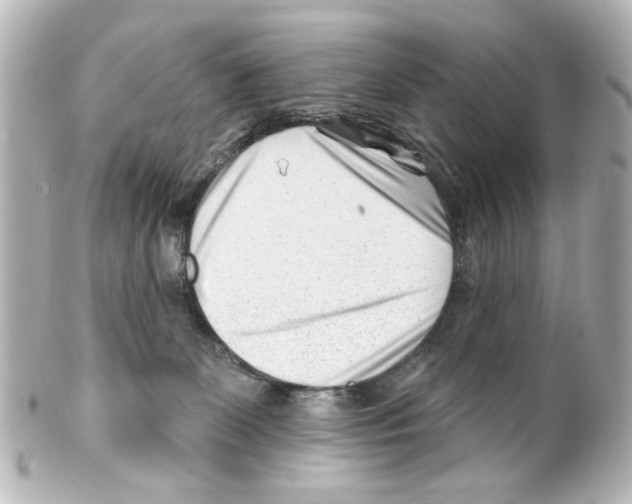 X0000100210131200806271712
