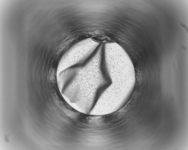 X0000100210132200806271712