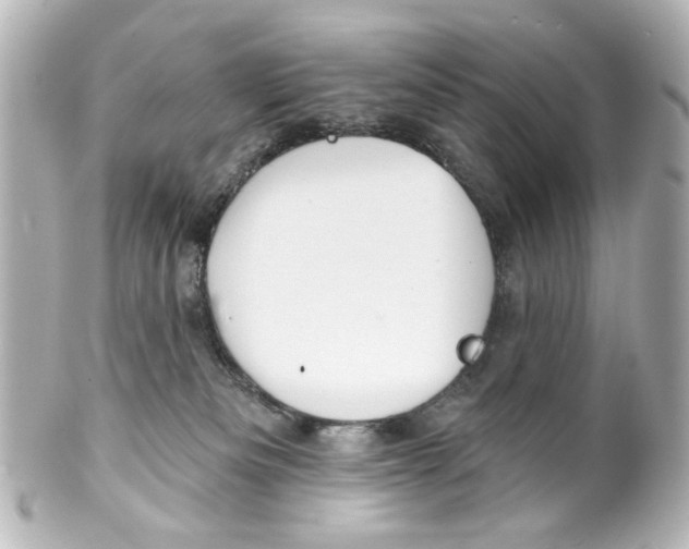 X0000100210133200806271712