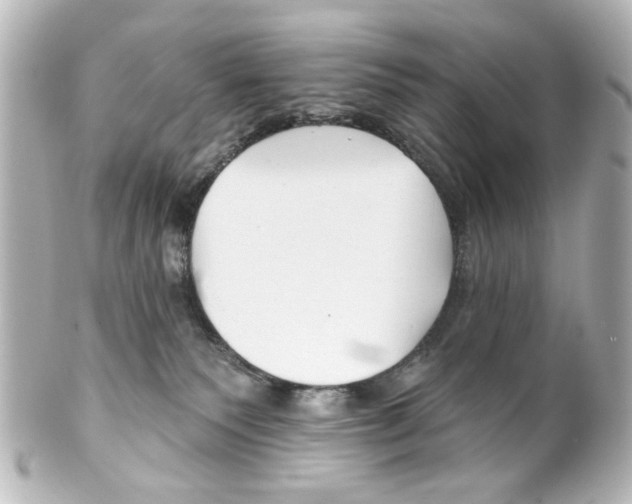 X0000100210135200806271712