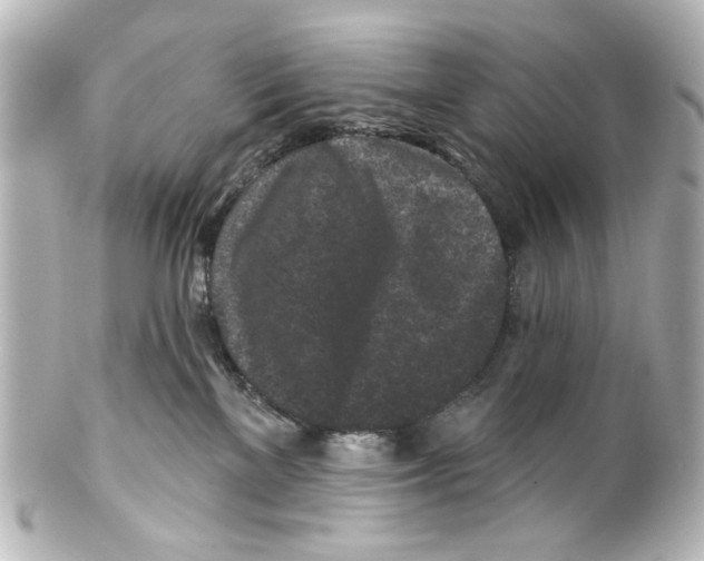 X0000100210137200806271712