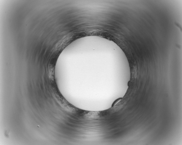 X0000100210138200806271712