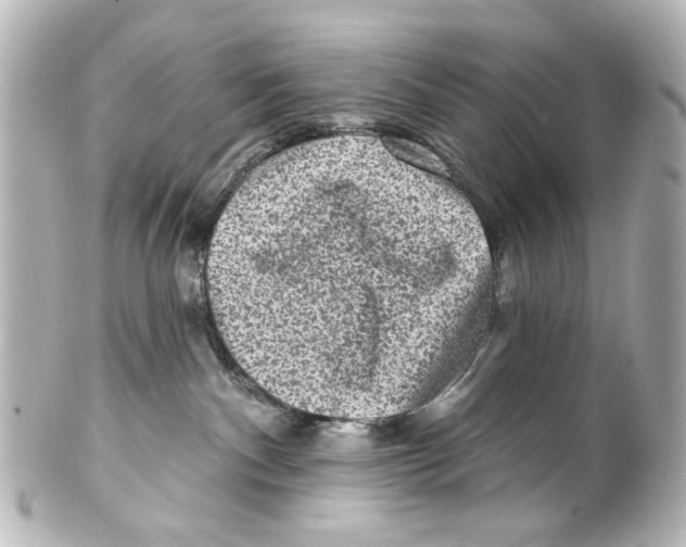 X0000100210140200806271712