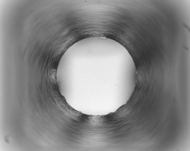 X0000100210141200806271712