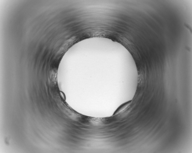 X0000100210142200806271712