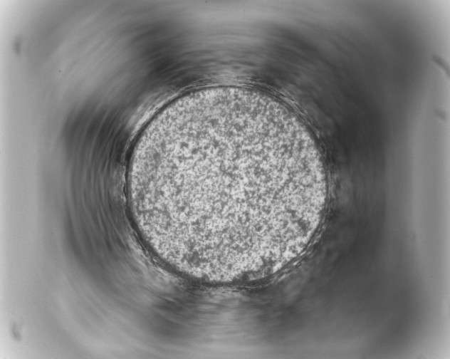 X0000100210146200806271712
