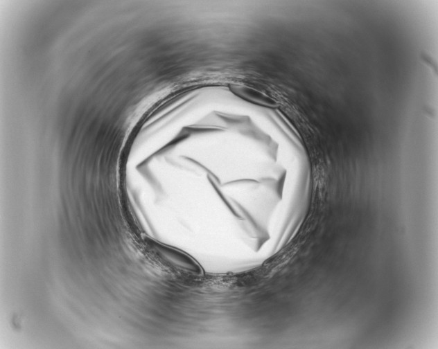 X0000100210148200806271712