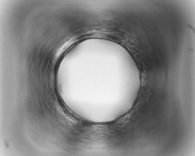 X0000100210150200806271712