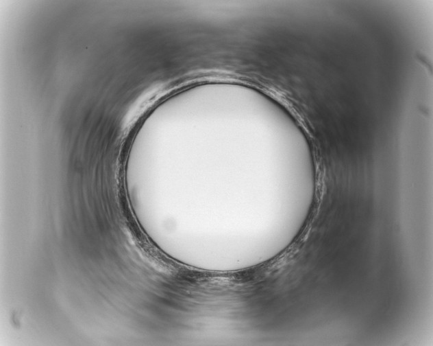 X0000100210151200806271712