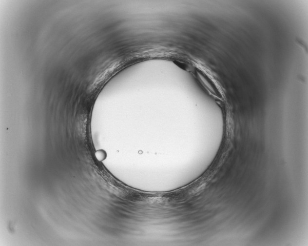 X0000100210153200806271712