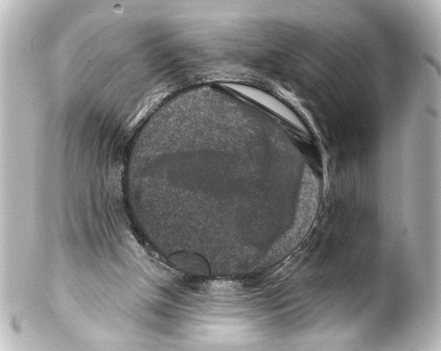 X0000100210154200806271712