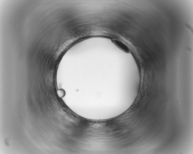 X0000100210155200806271712