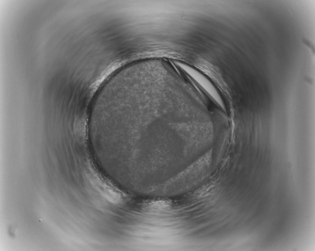 X0000100210156200806271712