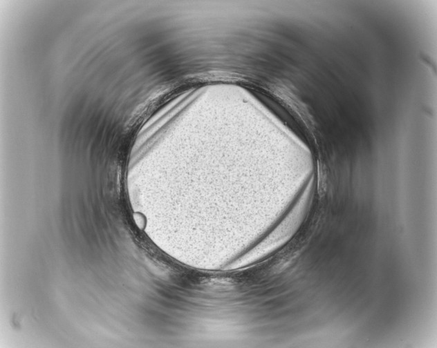 X0000100210157200806271712