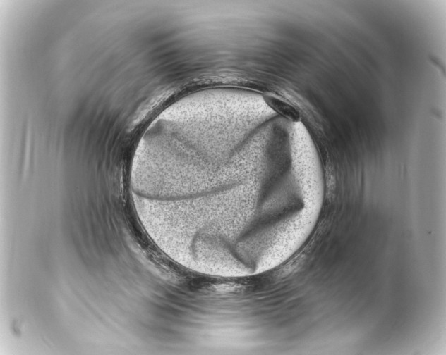 X0000100210158200806271712