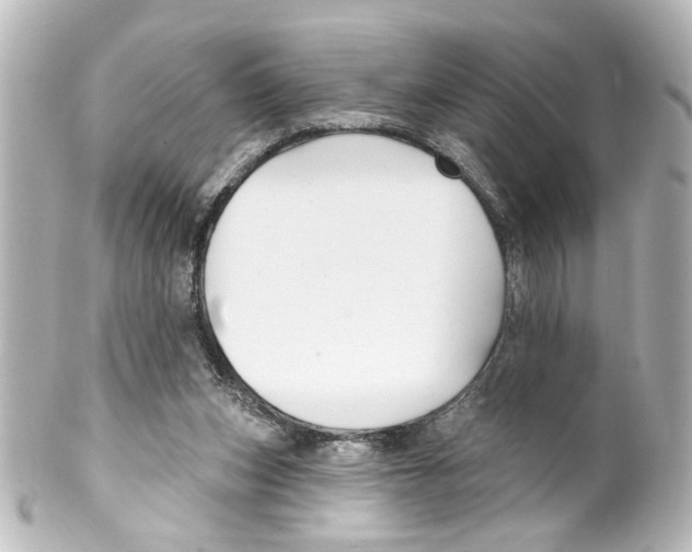 X0000100210159200806271712