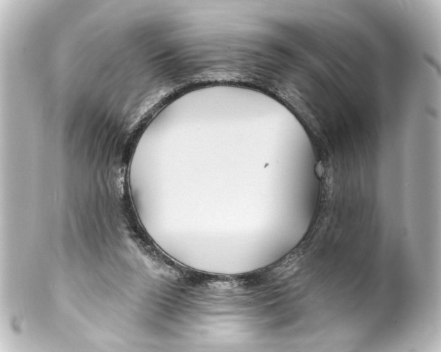 X0000100210160200806271712