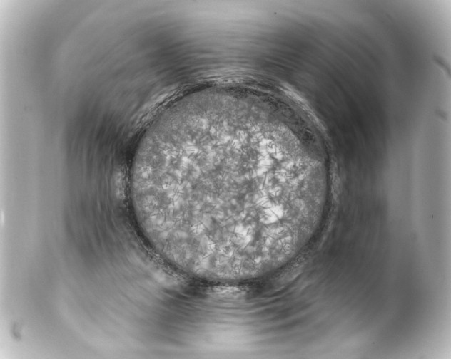 X0000100210161200806271712
