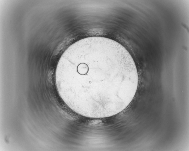 X0000100210162200806271712
