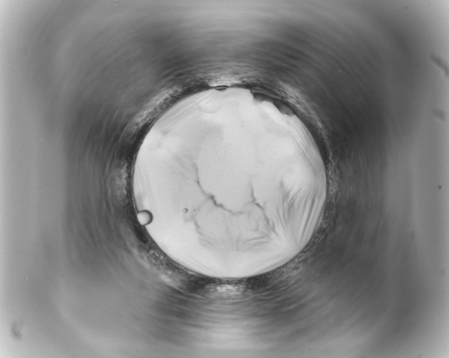 X0000100210163200806271712