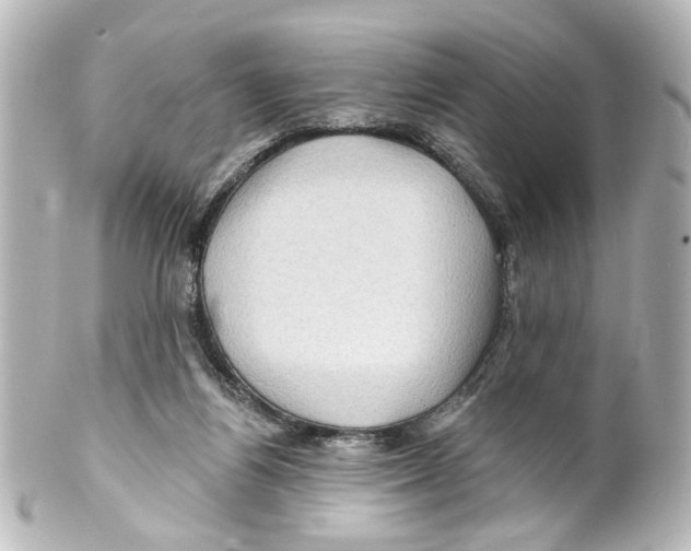 X0000100210164200806271712