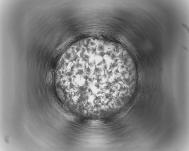 X0000100210165200806271712