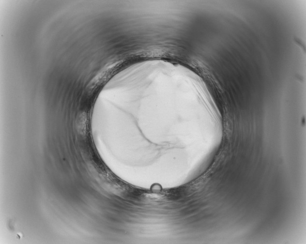 X0000100210167200806271712