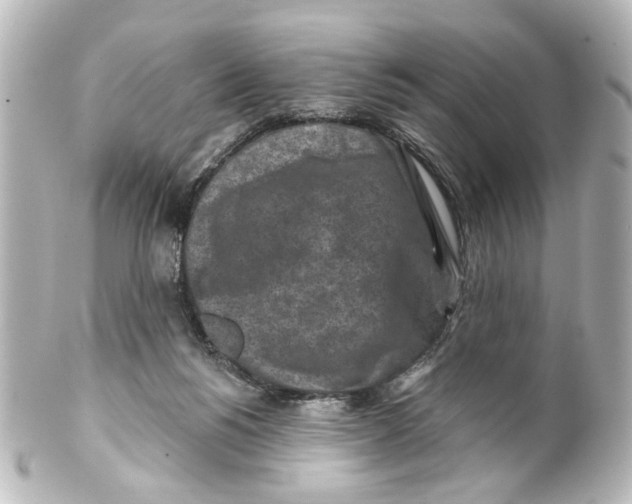 X0000100210168200806271712
