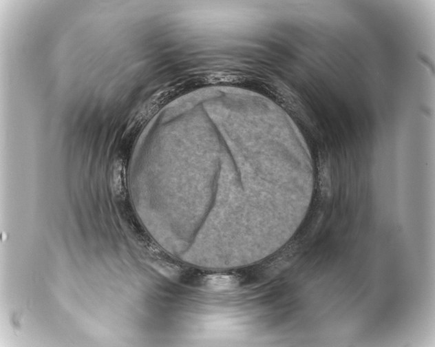 X0000100210169200806271712