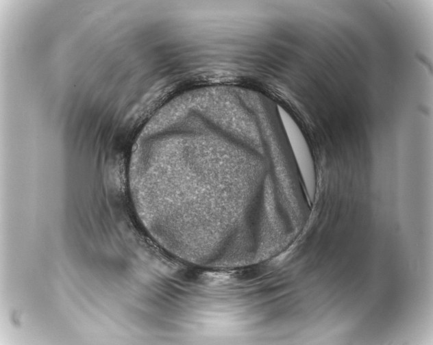 X0000100210170200806271712
