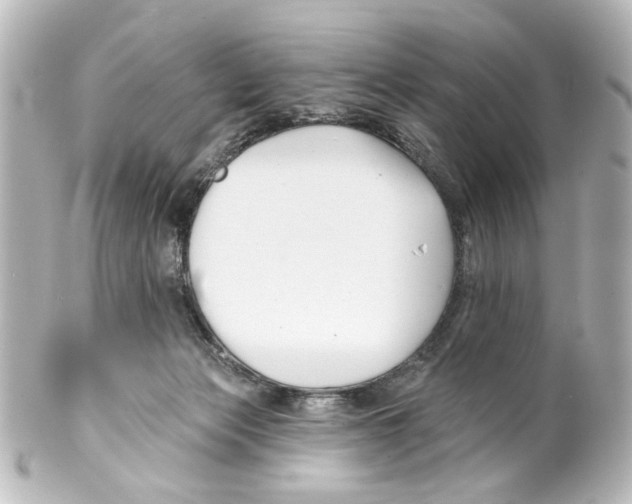 X0000100210173200806271712