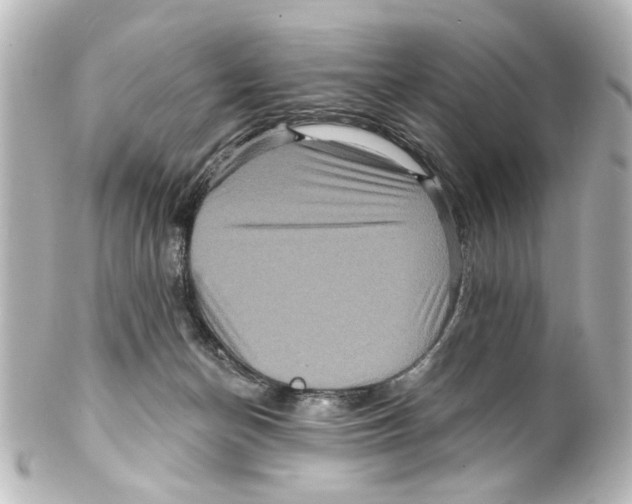 X0000100210174200806271712