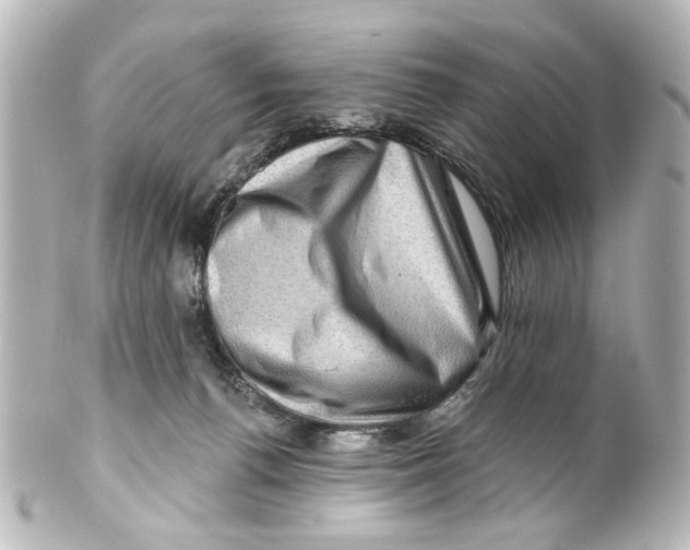 X0000100210176200806271712