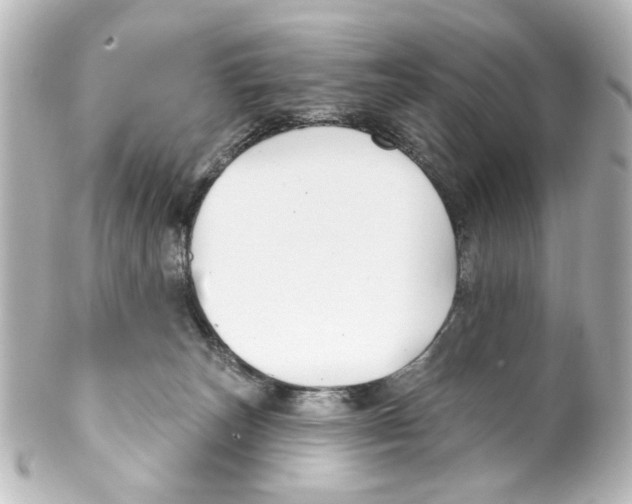 X0000100210179200806271712