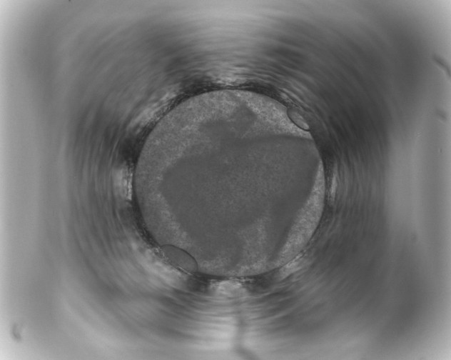 X0000100210180200806271712