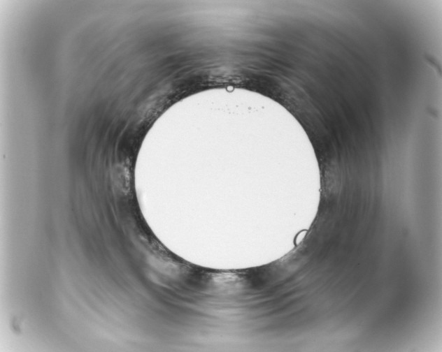 X0000100210183200806271712
