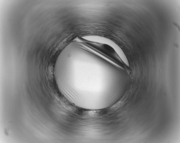 X0000100210184200806271712