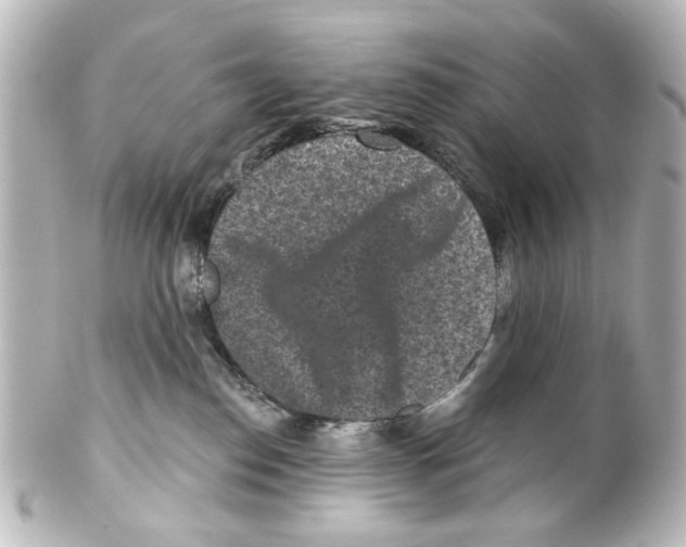 X0000100210186200806271712