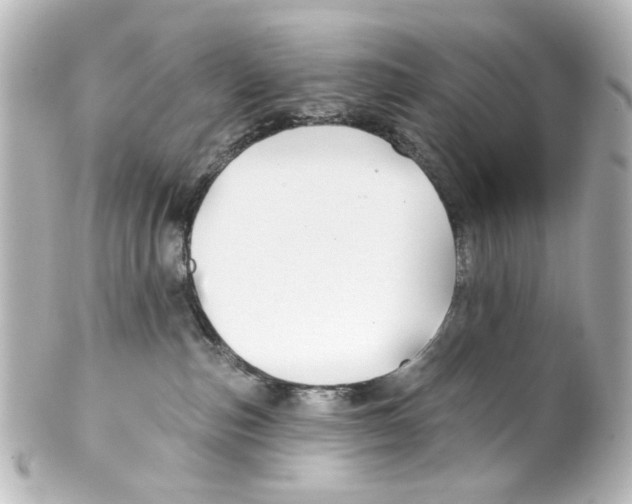 X0000100210187200806271712
