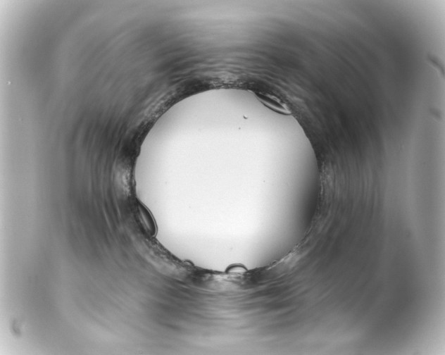 X0000100210188200806271712
