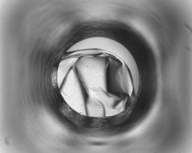 X0000100210190200806271712