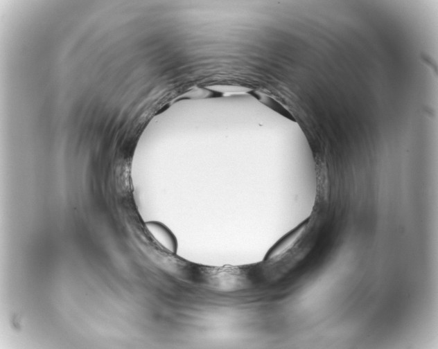 X0000100210191200806271712
