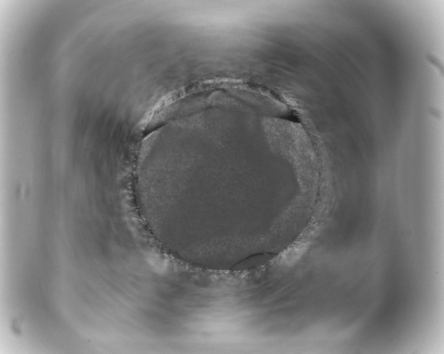 X0000100210192200806271712