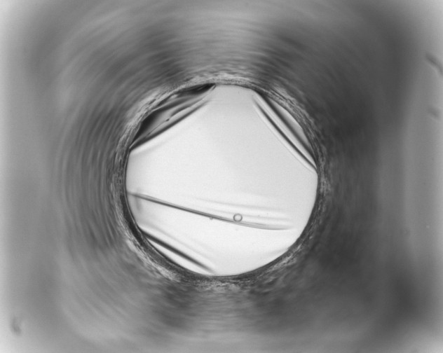 X0000100210193200806271712