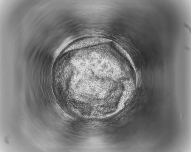 X0000100210195200806271711