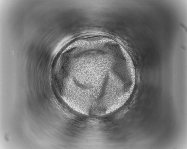X0000100210199200806271711