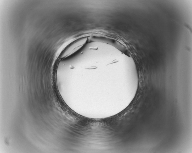 X0000100210200200806271711
