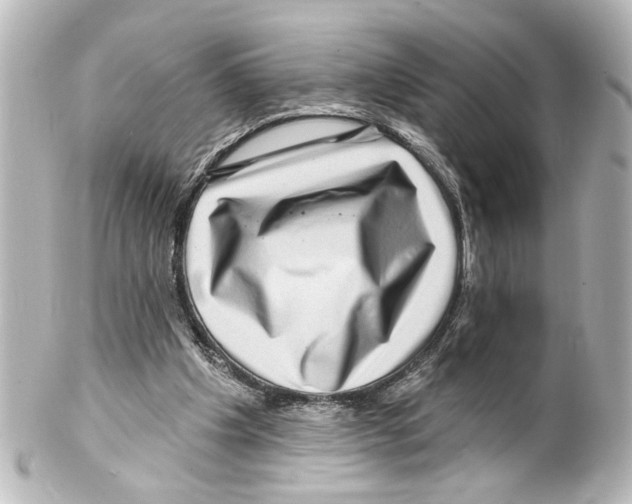 X0000100210201200806271711